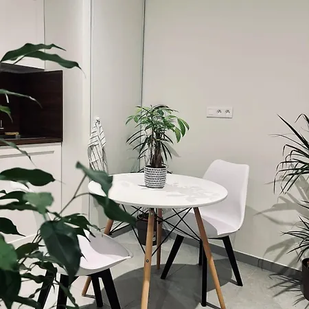 Cozy With Private Garden 500m From The Center