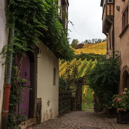 Cozy With Private Garden 500m From The Center Apartamento *